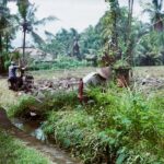 Photo Sustainable development practice