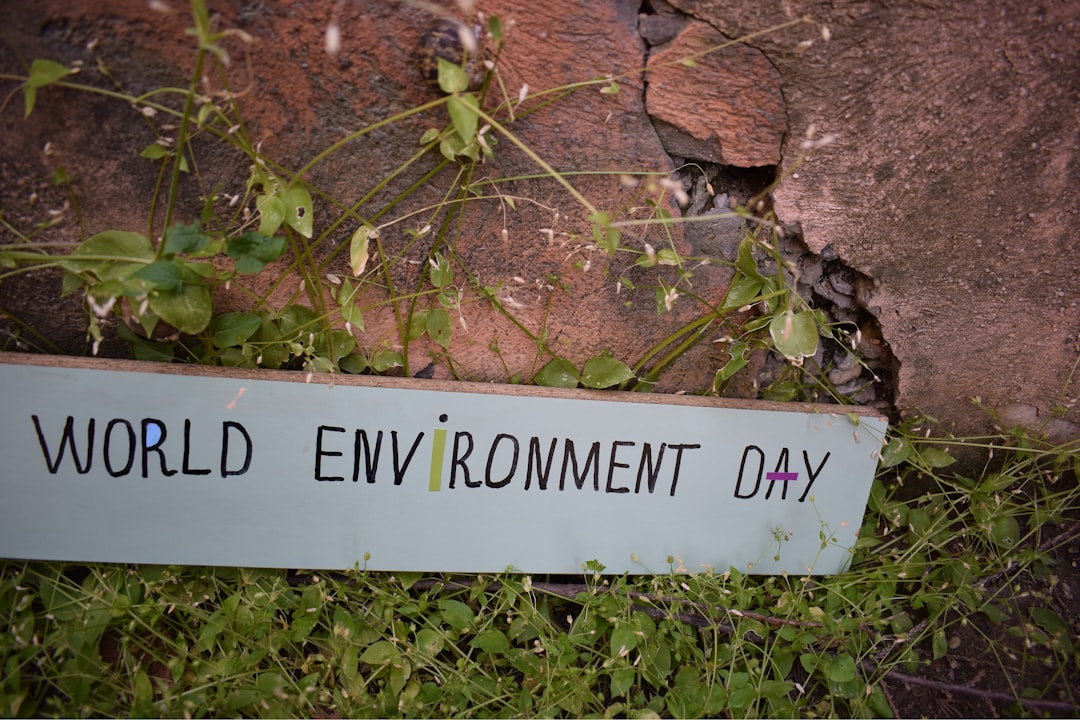 Photo environmental protection initiatives